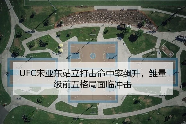 UFC宋亚东站立打击命中率飙升，雏量级前五格局面临冲击
